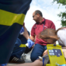 Autómentes Nap Cegléden