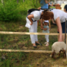 Hétközepi majális