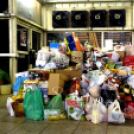 Jótékonysági sportnap