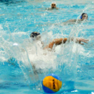 Ceglédi Vasutas Sport Egyesület - PVSK PSN (Pécs) 13:10