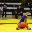 Birkózó Csapat Bajnokság - Odavágó