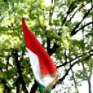 Szent István ünnepe a Gubody kertben