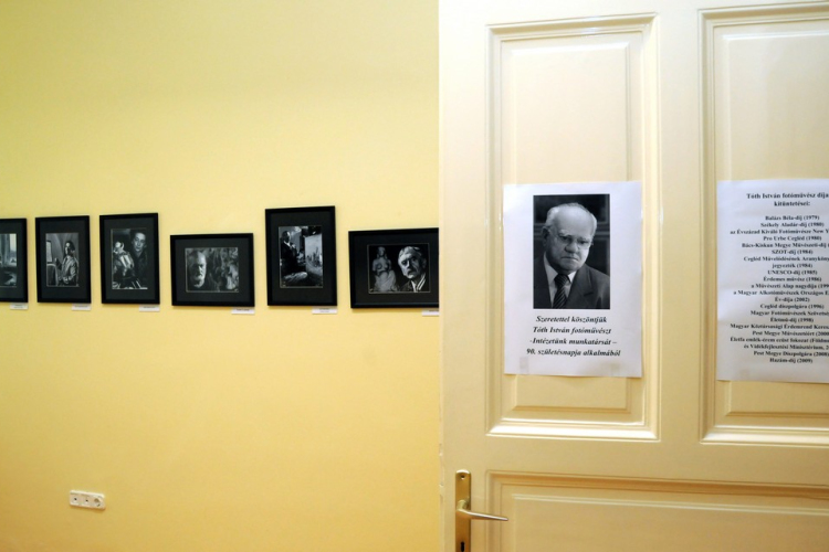 Művész portrék a gyümölcskutatóban