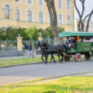 Szerenádoztak a gimisek