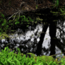 Karanténséta a Gerje parton