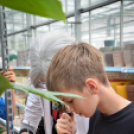 Családi tökfaragás az Oázis Kertészetben