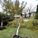 Októberi orkán Cegléden