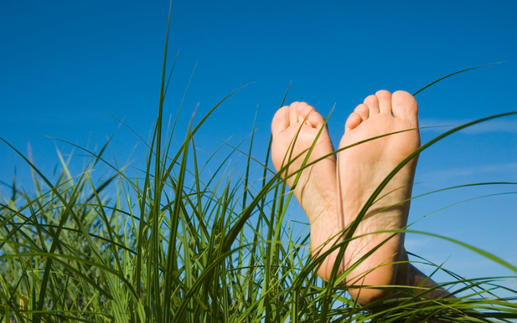 Ceglédi betörők a fűben