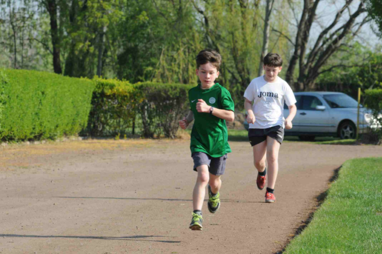 II. Romhányi Zoltán emlékfutás