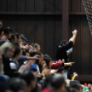 Cegléd - Orosháza kézilabda mérkőzés