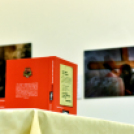 Könyvbemutató a Kossuth Múzeumban