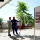 Városi Strandfürdő - Bokrétaünnep