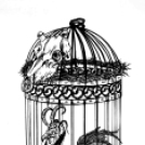 Nagy Rajzolás és Molnár Márton kiállítása a Gimi klubban