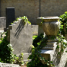 Gyászistentisztelet a temetőben