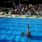 Magyarország - Egyesült Államok 10-9