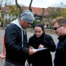 Felállították a város karácsonyfáját