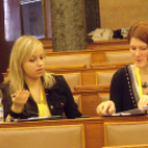 Demokráciajáték a parlamentben