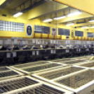 Ceglédi galamb mustra