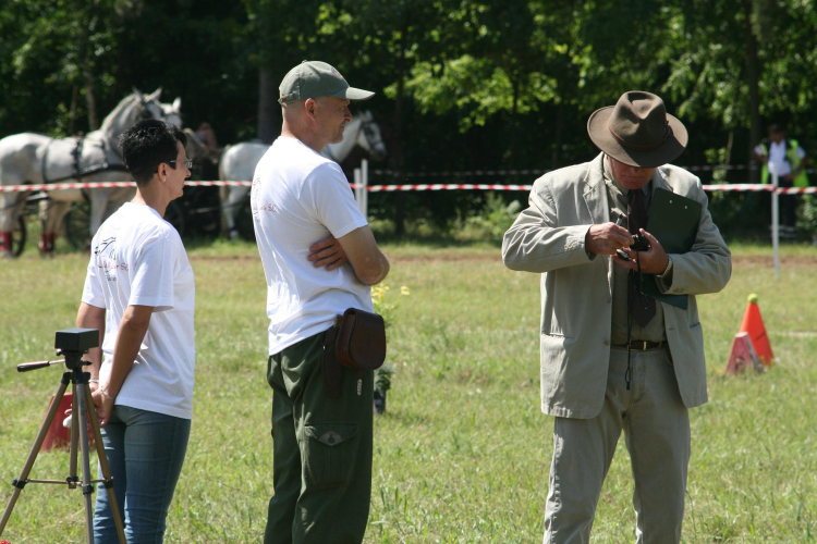 IX. Bor és Laskafesztivál - IV. Ceglédi Vágta
