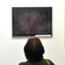 Magyar Fotográfia Napja