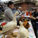 Pályaválasztási kiállítás