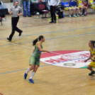 CEGLÉDI EKK – UNIQA EUROLEASING SOPRON 53 – 78