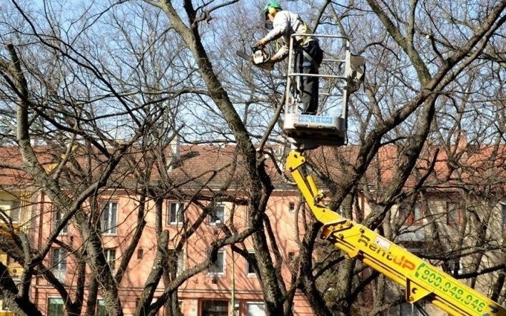 Lakossági tájékoztatás tavaszi fasori munkálatokról