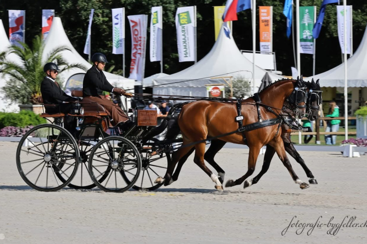 Magyar sikerek a Kettesfogathajtó Világbajnokságon