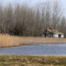 Belvízkárok Cegléden