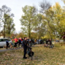 Tekerd be Ceglédet!