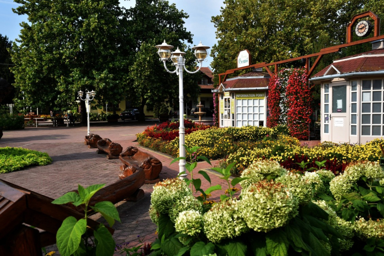 Együttműködésbe kezdett a csemői Marosi Faiskola és a Nemzeti Agrárkutatási és Innovációs Központ