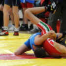 Birkózó Diákolimpia Országos Döntő