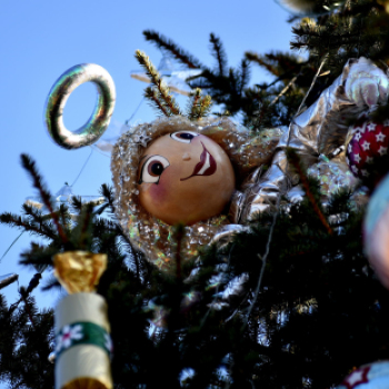 Feldíszítették a város karácsonyfáját