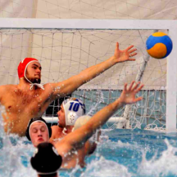 CVSE - Kecskemét 5-5