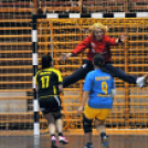 Ceglédi Kék Cápák – Danuke 22 – 31 ( 10 – 13 )