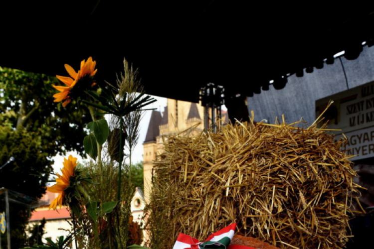 Augusztus 20 Cegléden 