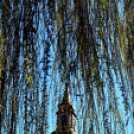 Március 15-i koszorúzás