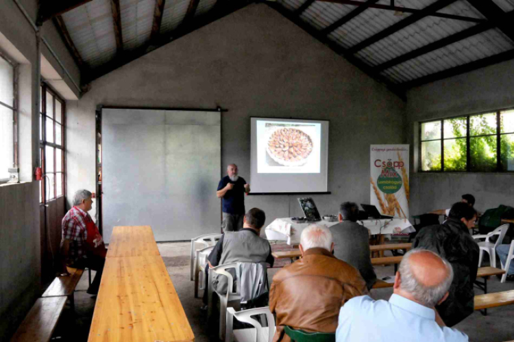 Csemői kerekasztal beszélgetés a szilváról