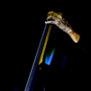 21. Dobos Gála -fotó: Kisfaludi István