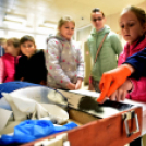 RENDŐRSÉGI NYÍLT NAP