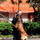 RENDŐRSÉGI NYÍLT NAP