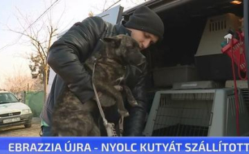 Újabb ellenőrzést tartottak