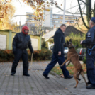 Nyílt Nap a Ceglédi Rendőrkapitányságon