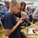 Múzeumok éjszakája Cegléden