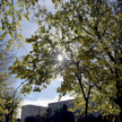 A ceglédi forradalmi eseményekre emlékeztek