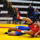 NB I-es birkózó csapatbajnokság -A- csoport