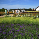 A növénynemesítő nyomában