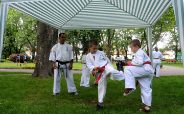 Ceglédi sportágválasztó