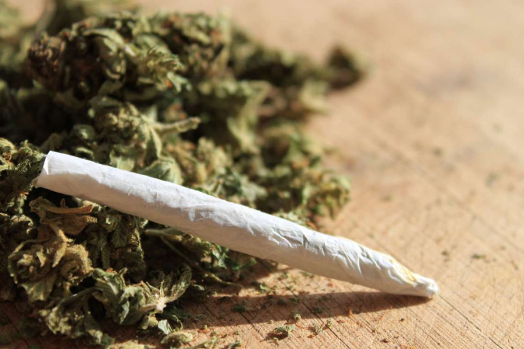 Abonyban is megterem a Herbál