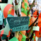 Karácsonyfa díszítő verseny